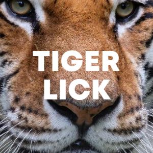 TIGER LICK cover