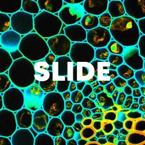 SLIDE cover