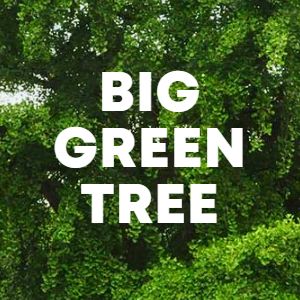 BIG GREEN TREE cover