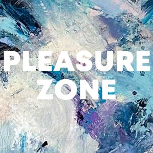 PLEASURE ZONE cover