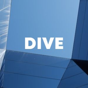 Dive cover