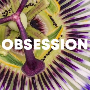 Obsession cover