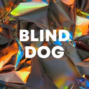 Blind Dog cover