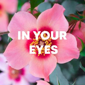 In Your Eyes cover