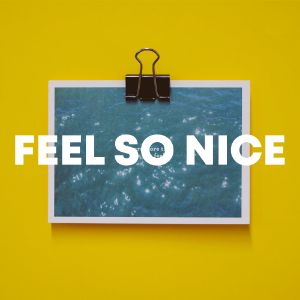 Feel So Nice cover