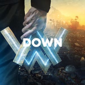 Down cover