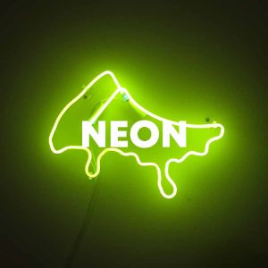 Neon cover