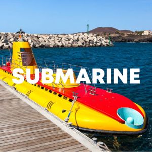 Submarine cover