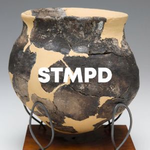 STMPD cover