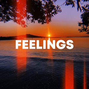 Feelings cover