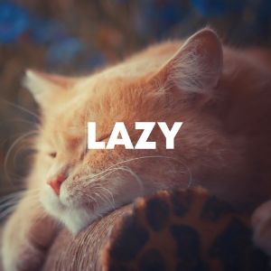 Lazy cover