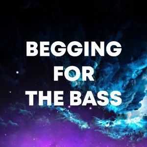 Begging For The Bass cover