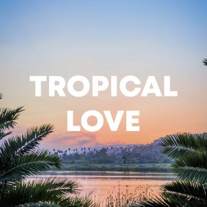 Tropical Love cover